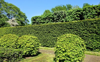 Entretien jardins et espaces verts