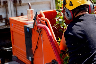 Elagueur du sud - entreprise spécialisée en valorisation du bois à Montpellier